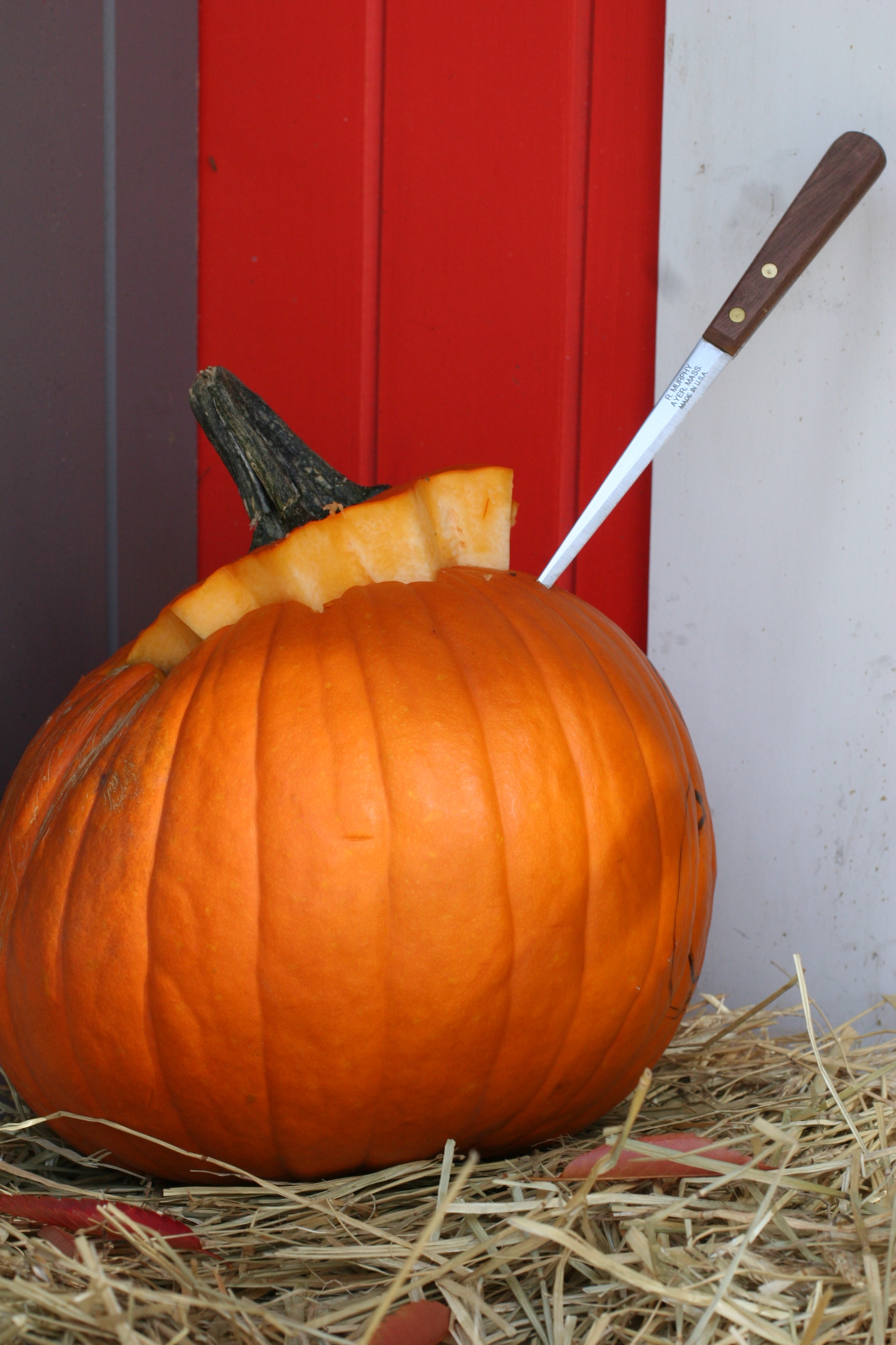 pumpkin knife